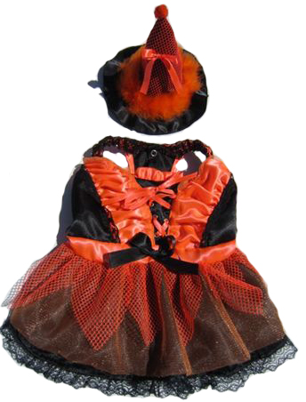 Lucinda The Witch LED  Dog Halloween Costume