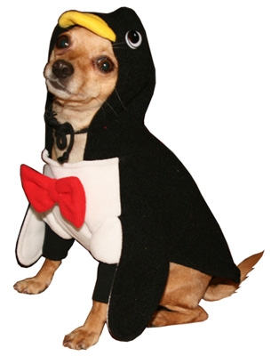 Penguin Dog Costume