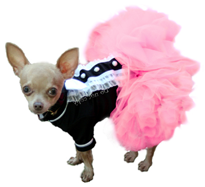 Pink Dog Pettiskirt