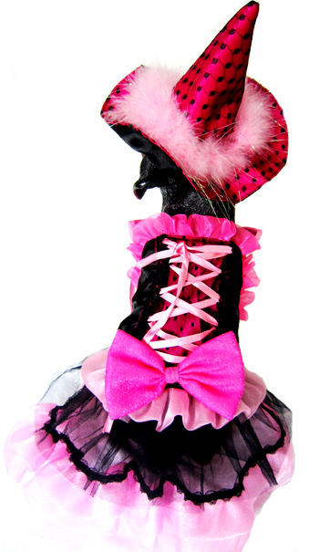 Rosina The Good Witch LED  Dog Halloween Costume