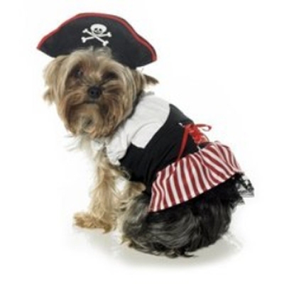 Pirate Dress Halloween Dog Costume