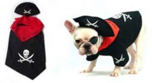 Pirate Dog Costume
