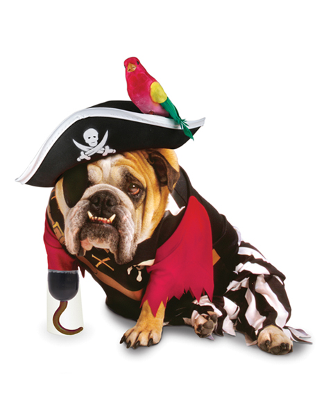 Pirate Halloween Dog Costume