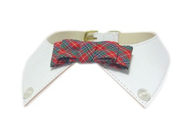 Preppy Patent Leather Dog Collar