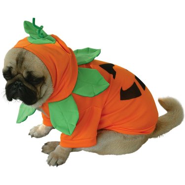 Pumpkin Poo Halloween Costume For Dogs