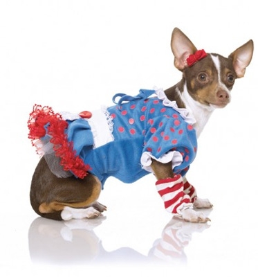 Punk Raggedy Ann Halloween Dog Costume
