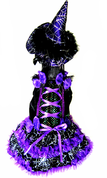 Spiderlicious The Witch LED  Dog Halloween Costume