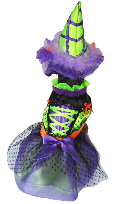 Selena Witch Dog Halloween Costume