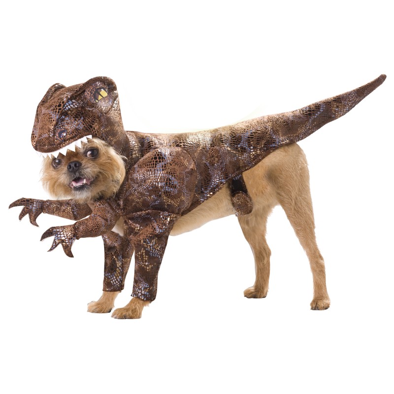 Raptor Dinosaur Halloween Dog Costume