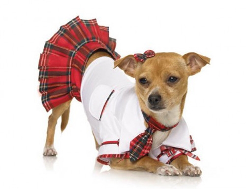 Red School Girl Halloween Dog Costume