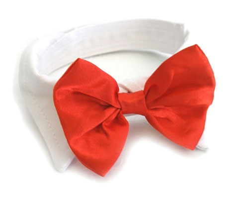 Red Satin Bowtie Dog Collar