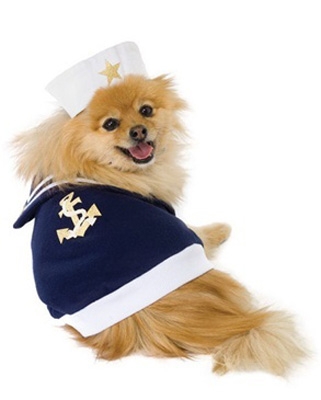 Sailor Bob Halloween Dog Costume