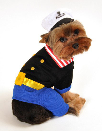 Navy Sailor Halloween Dog Costume