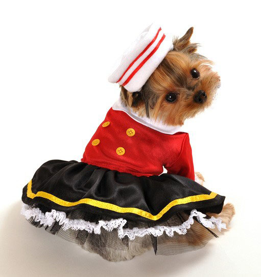 Sailor's Chic Halloween Dog Costume