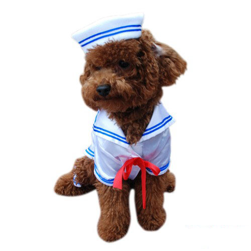Sailor Boy Dog Costume