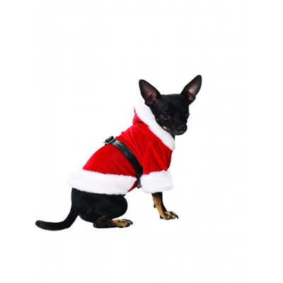 Santa Suit Halloween Dog Costume