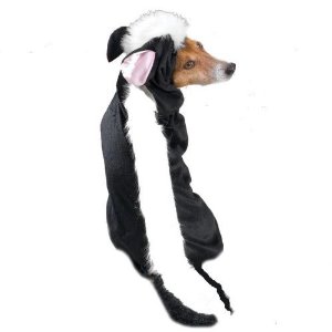 Skunk Costumes For Dogs