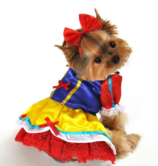 Snow Princess Costumes For Dogs
