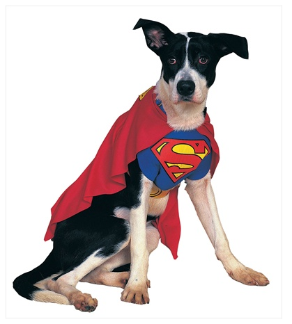 Superman Dog Costume