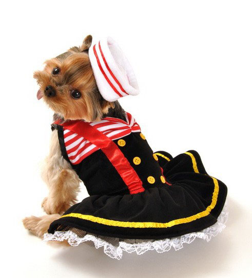 Sailor Girl Halloween Costume For Dogs