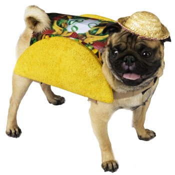 Party Taco Halloween Costume For Dogs