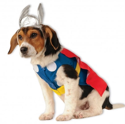 Thor Costume For Dogs