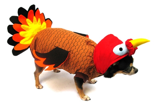 Turkey Thanksgiving Dog Costume