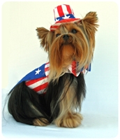 Uncle Sam Dog Costume