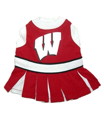 Wisconsin Dog Cheerleader Costume