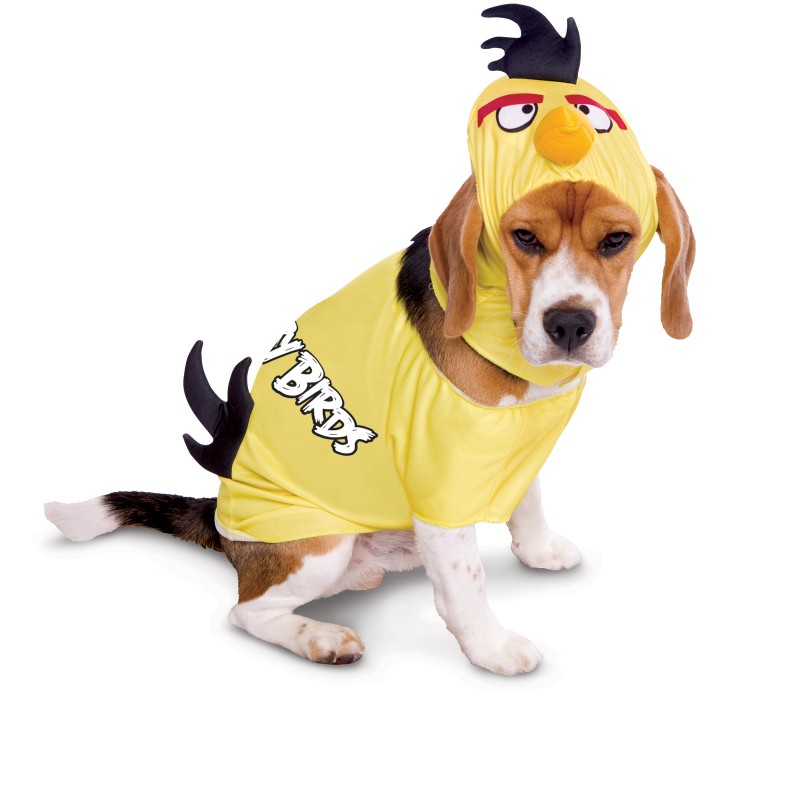 Yellow Angry Birds Halloween Dog Costume