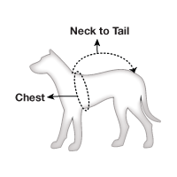 Pet Sizing