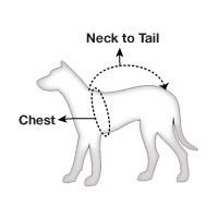 Pet Sizing